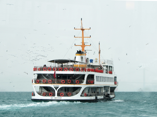 A beautiful cruise ship sailing on the sea