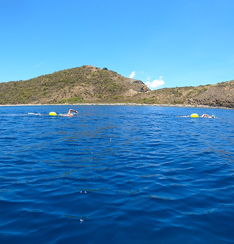 People swimming in the ocean wearing swimsuits